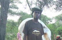 4 Days Lake Manyara National Park, Ngorongoro Crater , Serengeti National Park.