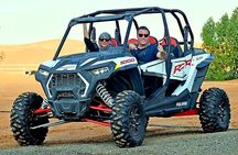Buggy Ride Dubai & Dubai Desert Safari & Camel Ride with pickup
