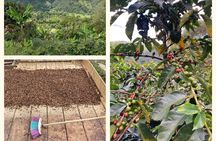 Birdwatching and Coffee Tour in Salento