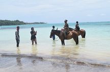 Horse Back Riding and Blue Hole From Montego Bay