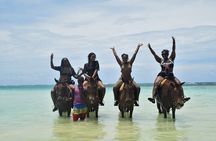 Horse Back Riding and Blue Hole From Montego Bay