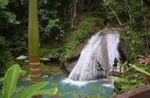 Horse Back Riding and Blue Hole From Montego Bay