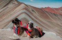 Rainbow Mountain Day Trip from Cusco | 7:00 AM Departure
