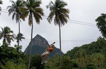 Soufriere Catamaran Excursion with Zip Lining from Castries