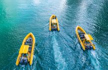 Abu Dhabi Guided Sightseeing Boat Tours