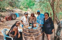 Coastal Vineyards: A Dream Wine Tour to Elaphiti Islands