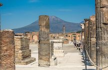 Pompeii Guided Tour with Priority Entrance