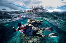 Great Barrier Reef with Cultural Guides-Dreamtime Dive & Snorkel