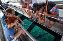 Great Barrier Reef with Cultural Guides-Dreamtime Dive & Snorkel
