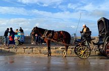 Alexandria Free Walking Tours & Horse Carriage ride By Night