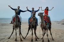 Desert Safari Around The Pyramids of Giza With Camel Riding