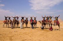 Desert Safari Around The Pyramids of Giza With Camel Riding