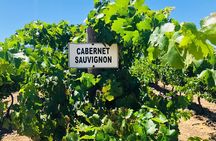Private Tour of Top 5 Stellenbosch Wineries From Cape Town