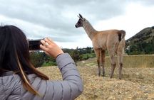 The best of Cuenca and Surroundings in 2 days