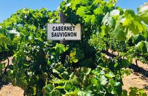 Stellenbosch Small Group Wine Tasting Tour From Cape Town