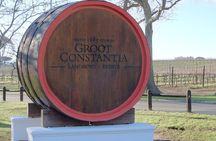 Cape Town Day Tours