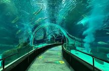 Tour Privado - Boulevard Olimpico + Aquario
