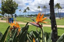 Private Hawaii Pearl Harbor Tours and North Shore (up to 12 people )