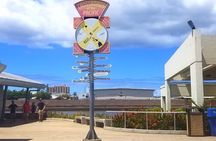 Private Hawaii Pearl Harbor Tours and North Shore (up to 12 people )