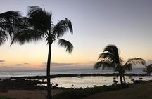 Private Pearl Harbor & North Shore tour (Se habla Español)