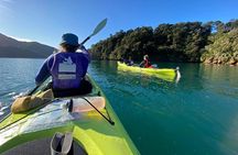 Full-Day Guided Sea Kayak Trip from Picton