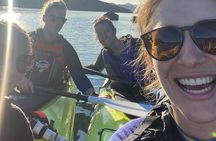 Half-Day Guided Sea Kayak Trip from Picton