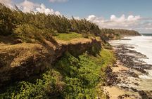 Explore The Wild South