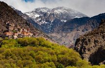 E-Bike Day Trip From Marrakech To the Atlas Mountains