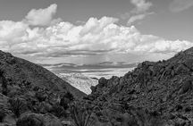 Private-36 Hour Adventure in Joshua Tree National Park
