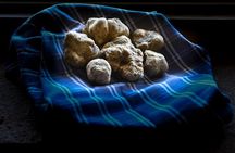 Truffle Hunting and Handmade Pasta in Ascoli Piceno