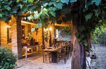 Truffle Hunting and Handmade Pasta in Ascoli Piceno