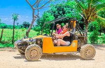 Punta Cana Family Buggy; cave pool, beach, coffee tasting