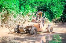 Punta Cana Family Buggy; cave pool, beach, coffee tasting
