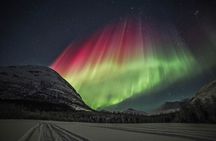 Aurora Chase with professional photographers (Northern Lights)