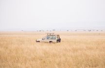 Private 2 Day Diani Beach to Tsavo East Tour