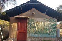 One Night (Mid-range) Amboseli National Park Safari