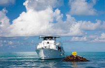 Bermuda Glass Bottom Boat Cruise