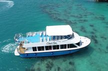Bermuda Glass Bottom Boat Cruise