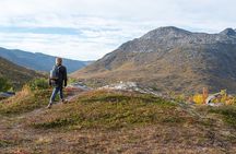 Arctic Roadtrip: fjords with scenic picnic | Private
