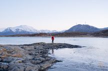 Arctic Roadtrip: fjords with scenic picnic | Private