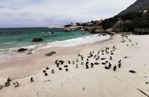 Cape Peninsula Half Day Tour From Cape Town Travel Choice Award