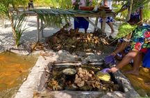 Lagoon Snorkeling Tour with Tahitian Oven Lunch in Bora Bora