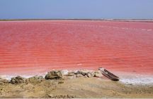 Totumo Volcano and Mar Rosa Tour in Cartagena with Lunch