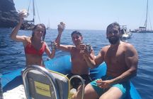 SEA SAFARI Dolphins, Whales, 3h speedboat DISCOVERY-TOUR