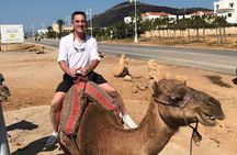 luxury 4 Hour Private Tour of Tangier 