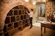 Organic Family Winery Experience in Liguria