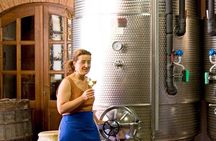 Organic Family Winery Experience in Liguria