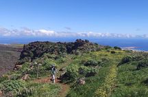 Wanderungen im grünen Gran Canaria
