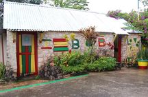  9 mile Bob Marley Musoleum Private Day Trip From Montego Bay 