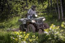 Zip-lining/Horseback Rides/Cat & Atv Inclusive Act with Transpo From Montego Bay